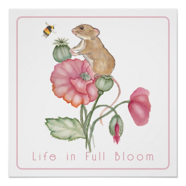 Pôster Rato Cute Blooming em Poppy (Frente)