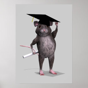 Poster Rato do formando