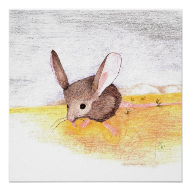 Pôster Rato Seco (Frente)