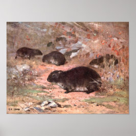 Poster Ratos Dassie por CE Swan, Roedor Animal Selvagem V