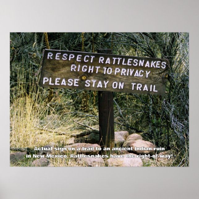 Poster Rattlesnakes Têm Muito Humor (Frente)