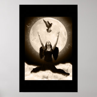 Pôster Raven