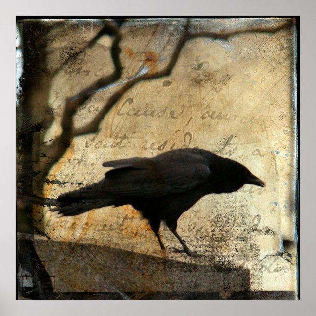 Pôster Raven Art (Frente)