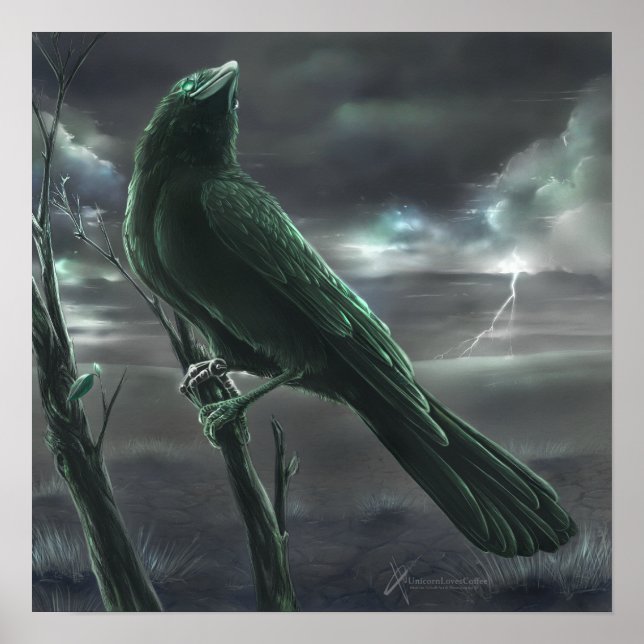 Poster Raven bot (Frente)