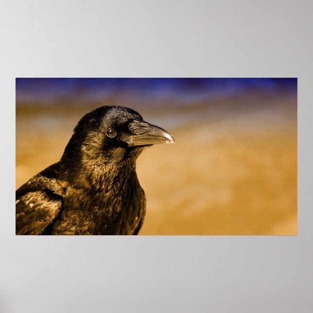 Poster Raven Crow Gothic Fantasy Black Bird Nature (Frente)