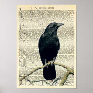 Poster Raven Empoleirado, Corvo, Edgar Allan Poe, Gótico
