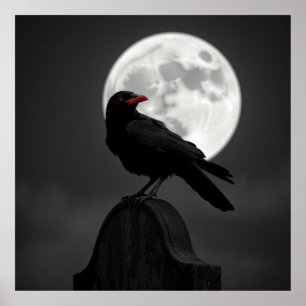 Poster Raven Enigmático e Lua Cheia - Arma de Carvões Mís