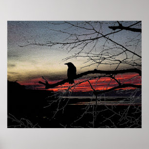 Poster Raven na árvore no pôr do sol