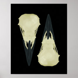 Poster Raven Skulls