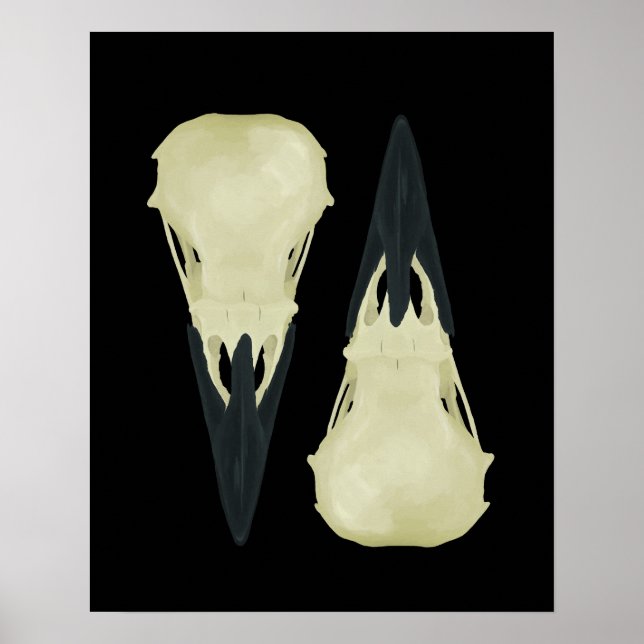 Poster Raven Skulls (Frente)