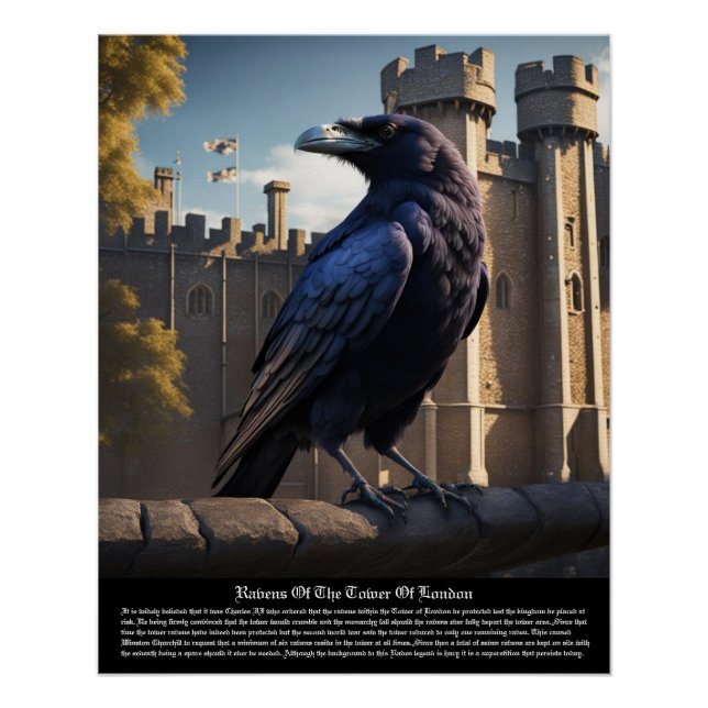Pôster Raven Tower De Londres (Frente)