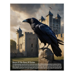 Pôster Raven Tower De Londres