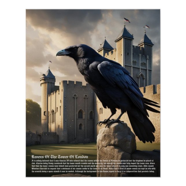 Pôster Raven Tower De Londres (Frente)