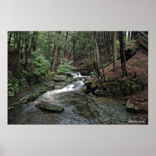 Poster Raymondskill River in the Poconos print 040