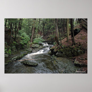 Poster Raymondskill River in the Poconos print 040