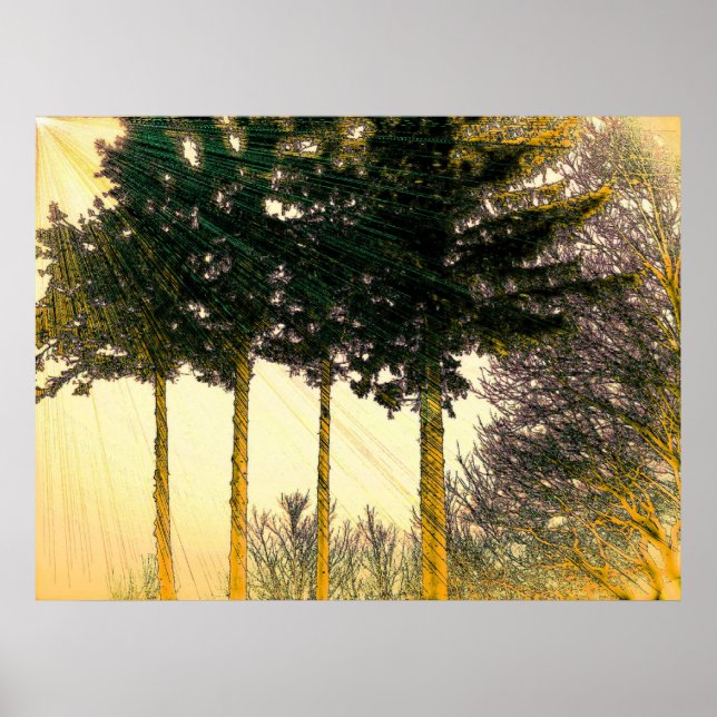 Pôster Rays of Hope (Frente)