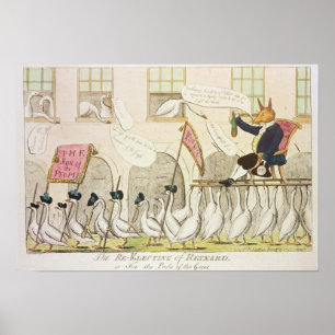 Poster Re-Eleger de Reynard ou de Fox