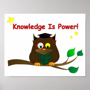Poster Reading Wise Owl