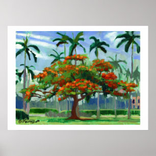 Poster real de Poinciana
