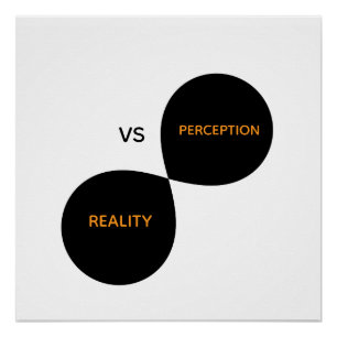 Pôster Realidade Vs Percepção