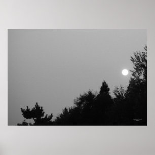 Poster Realização: Zen da natureza/poster de Tao