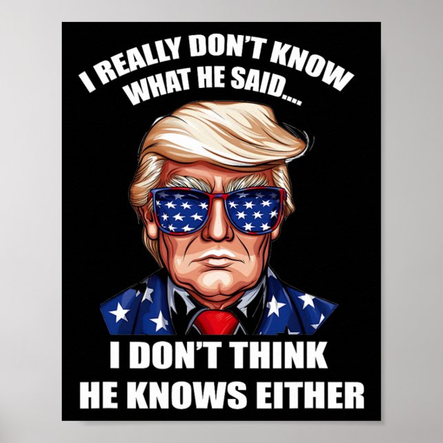 Poster Realmente não sei o que ele disse no final (Frente)