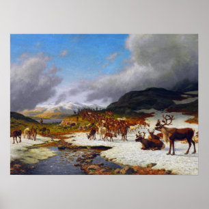 Poster Rebanho de renas nas montanhas ao norte de Røros
