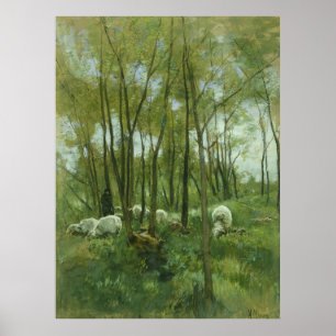 Poster Rebanho dos carneiros em uma floresta, malva de