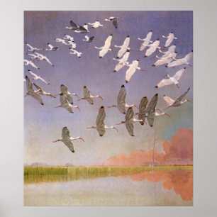 Poster Rebanho dos íbis que voa sobre pantanais, pássar