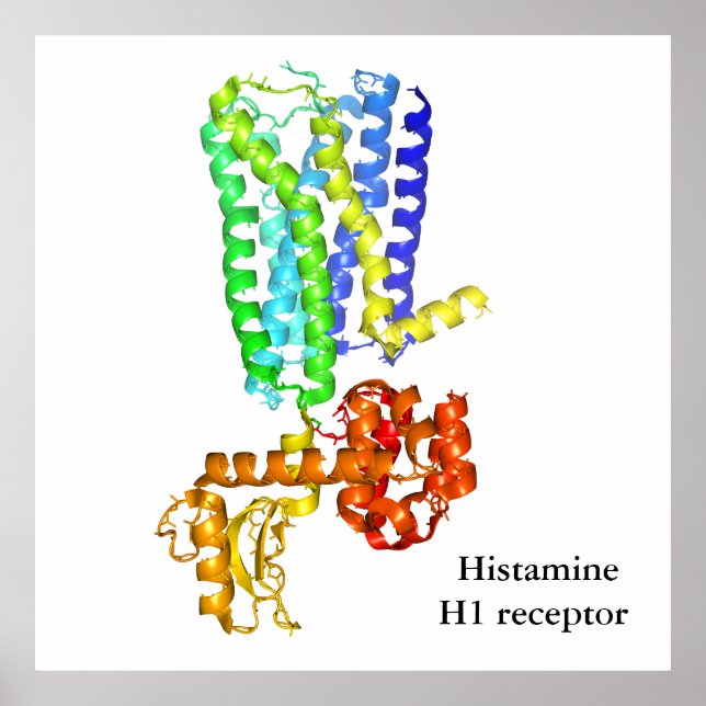 Poster Receptor da histamina (Frente)