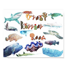 Recife De Barreira De Excelente Ameaçado,