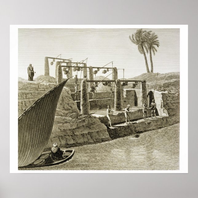 Poster Recolha de água do Nilo, placa 6 do Volum (Frente)