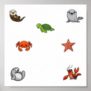 Poster Recolha de animais marinhos