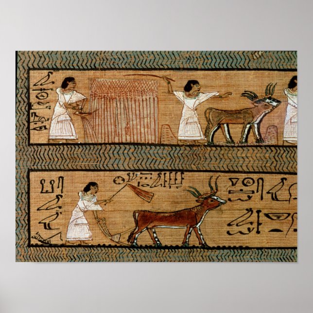 Pôster Recolha e aragem, detalhe uma representação (Frente)