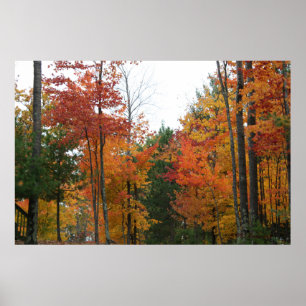 Pôster Recolhimento dos eretos