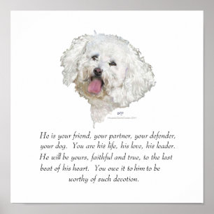 Poster Recordação, Cão Macho