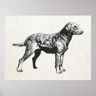 Poster recuperador de baía de chesapeake