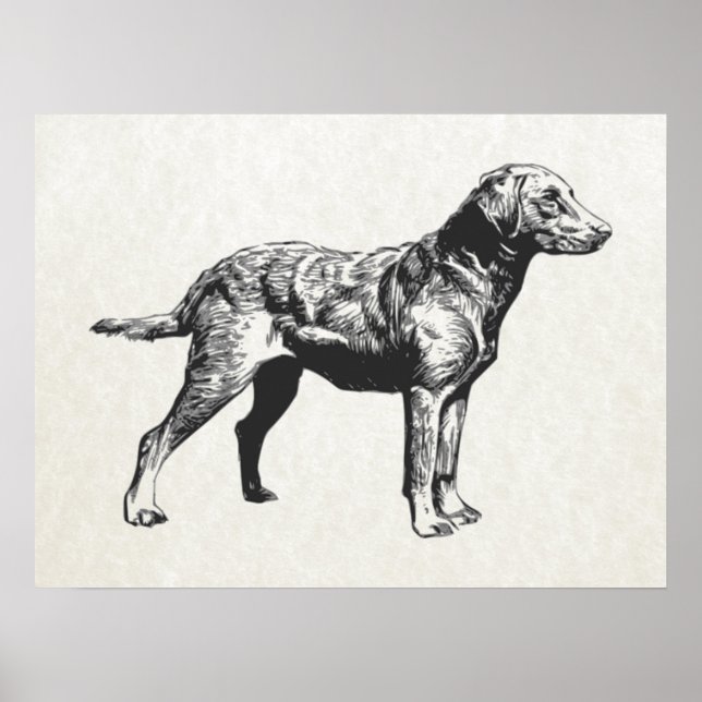 Poster recuperador de baía de chesapeake (Frente)