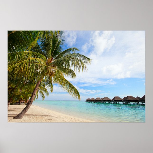 Pôster Recurso exótico (Frente)