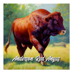 Pôster Red Angus Bull bonito