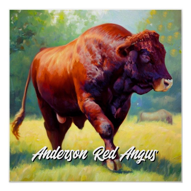 Pôster Red Angus Bull bonito (Frente)