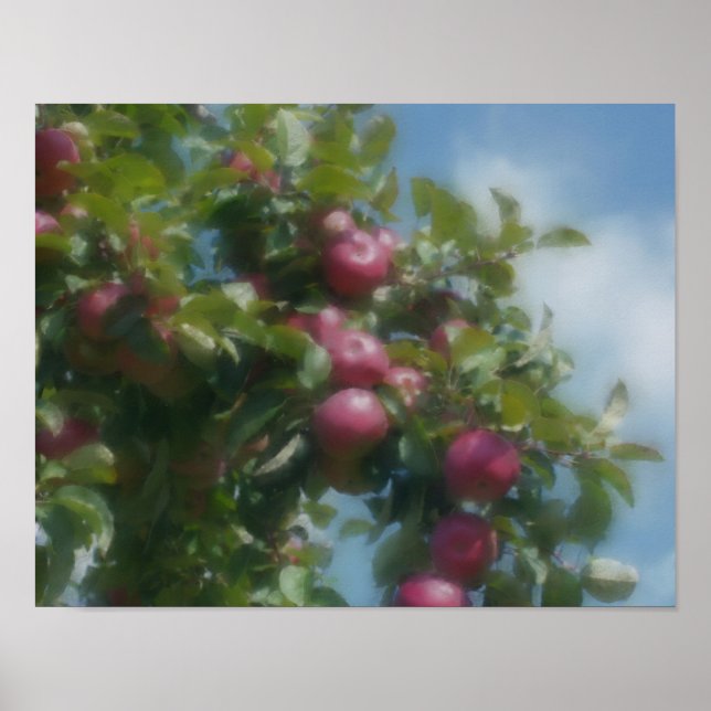 Pôster Red Apples On Tree Photo Painting (Frente)