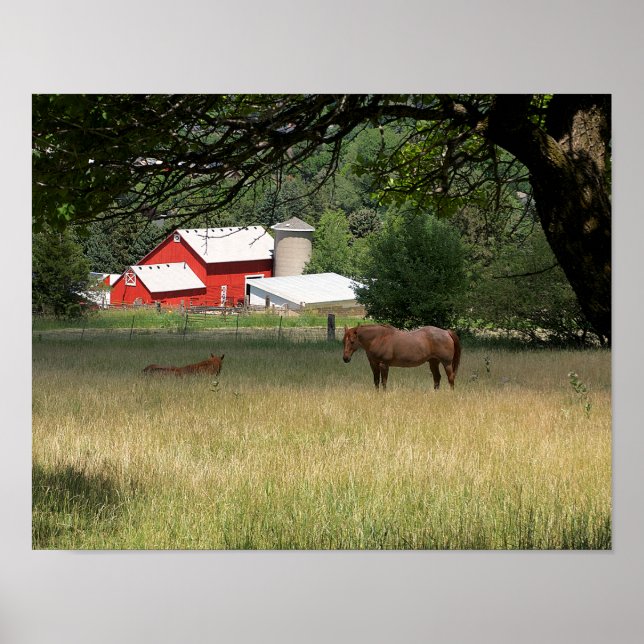 Poster Red Barn E Cavalos (Frente)
