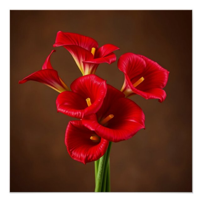 Pôster red callas (Frente)