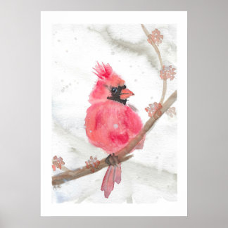 Poster Red Cardinal in Snow