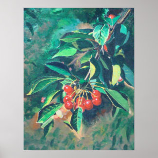 Poster Red Cherries