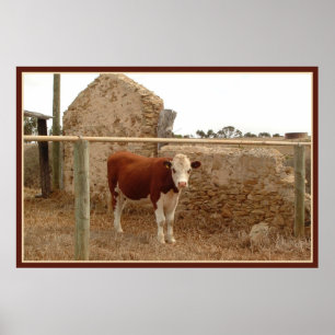 Poster red cow print with border