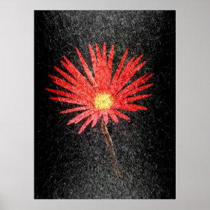 Poster Red Daisy sobre fundo negro   Abstrato Art