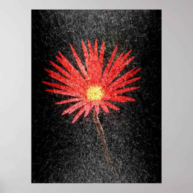 Poster Red Daisy sobre fundo negro | Abstrato Art (Frente)