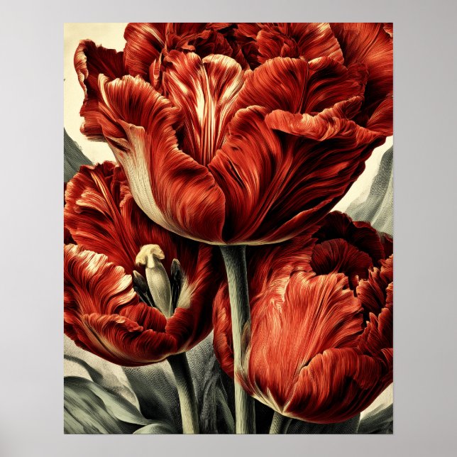 Poster Red Dutch tulips (Frente)